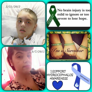 Team Page: Team Sunshine